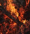 T-20150404-192921_IMG_7209-7a