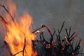 T-20150404-195353_IMG_7302-7