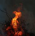 T-20150404-195427_IMG_7311-7a