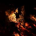 T-20150404-210802_IMG_8422-7a