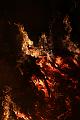 T-20150404-210811_IMG_8424-7