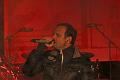 T-20150404-223655_IMG_9221-7a