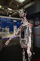 T-20150417-161100_IMG_4510-6