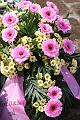 T-20150426-142314_IMG_4491-7