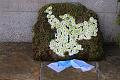 T-20150426-142437_IMG_4502-7
