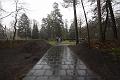 T-20150426-092734_IMG_4855-6