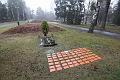 T-20150426-092944_IMG_4869-6