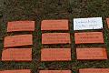 T-20150426-092954_IMG_0956-7