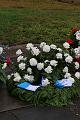 T-20150426-093051_IMG_0979-7