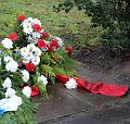T-20150426-093052_IMG_0981-7a