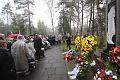 T-20150426-094532_IMG_4964-6