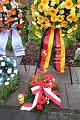 T-20150426-100506_IMG_5097-6