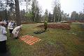 T-20150426-100634_IMG_5113-6