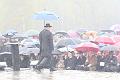 T-20150426-112623_IMG_1952-7