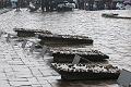 T-20150426-113930_IMG_2094-7