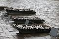 T-20150426-114205_IMG_2097-7