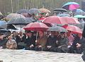 T-20150426-114855_IMG_2114-7a