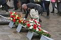T-20150426-130216_IMG_2974-7a