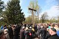 T-20150426-131052_IMG_5420-6