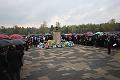 T-20150426-133702_IMG_5487-6