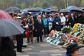 T-20150426-133733_IMG_4008-7