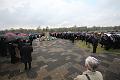 T-20150426-133940_IMG_5496-6