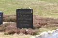 T-20150426-141118_IMG_4440-7