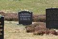 T-20150426-141119_IMG_4442-7
