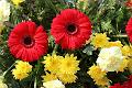 T-20150426-142044_IMG_4481-7