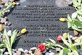 T-20150426-142209_IMG_4487-7
