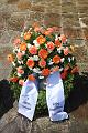 T-20150426-142234_IMG_5702-6