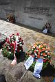 T-20150426-142242_IMG_5704-6