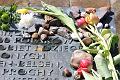 T-20150426-142559_IMG_4506-7