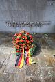 T-20150426-142732_IMG_5737-6