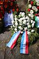 T-20150426-143048_IMG_5776-6