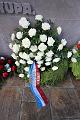 T-20150426-143154_IMG_5790-6