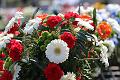 T-20150426-143913_IMG_4539-7