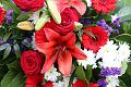 T-20150426-151613_IMG_4606-7