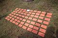 T-20150426-152254_IMG_5883-6