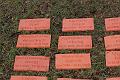 T-20150426-152309_IMG_4619-7