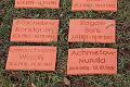 T-20150426-152312_IMG_4621-7