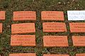 T-20150426-152314_IMG_4622-7