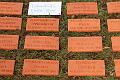 T-20150426-152323_IMG_4630-7