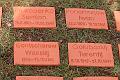 T-20150426-152332_IMG_4634-7