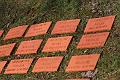 T-20150426-152346_IMG_4636-7