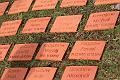 T-20150426-152348_IMG_4637-7
