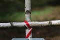 T-20150426-152442_IMG_4643-7
