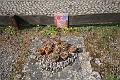 T-20150426-161440_IMG_5962-6