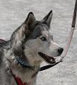 T-20150513-134010_IMG_9990-7a