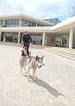 T-20150513-134022_IMG_9417-6a